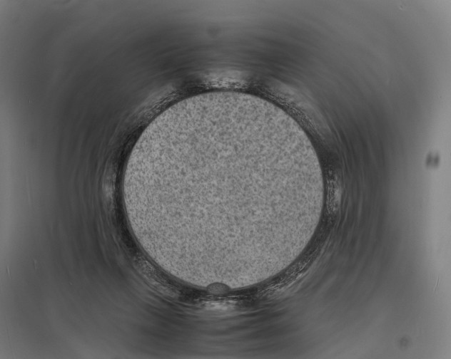X0000097620263200803281043