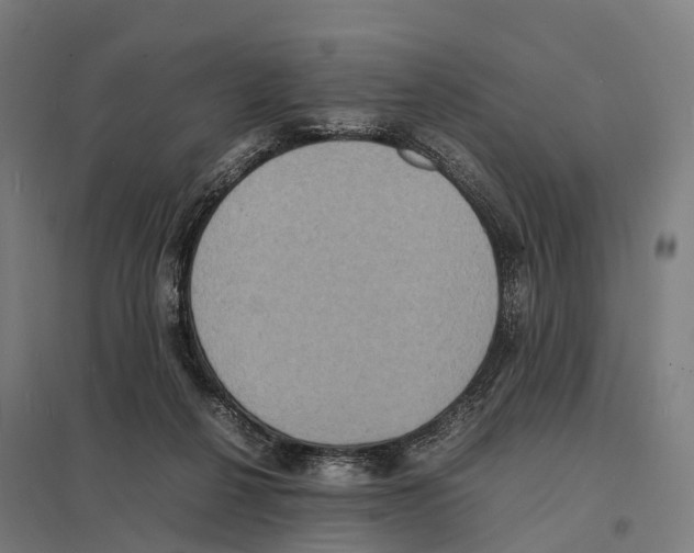 X0000097620264200803281043