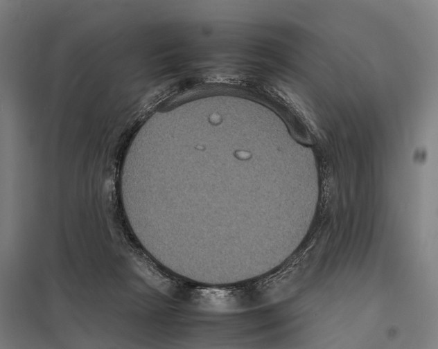 X0000097620265200803281043