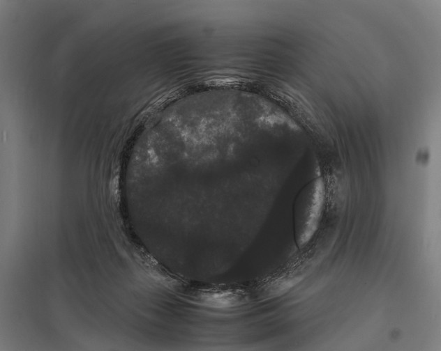 X0000097620267200803281043