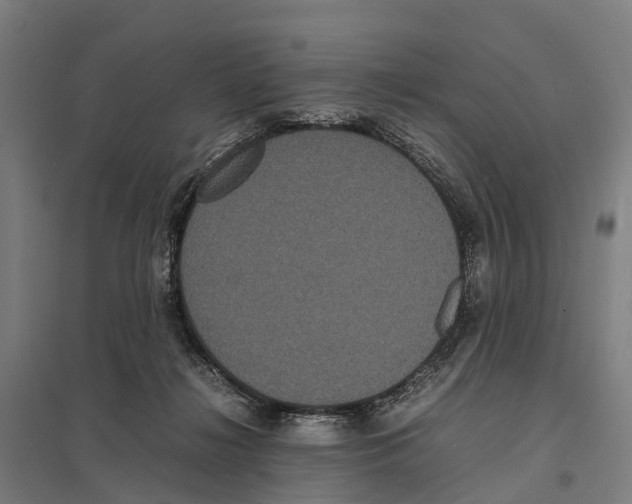 X0000097620268200803281043