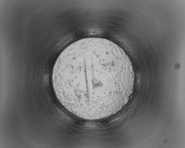 X0000097620269200803281043