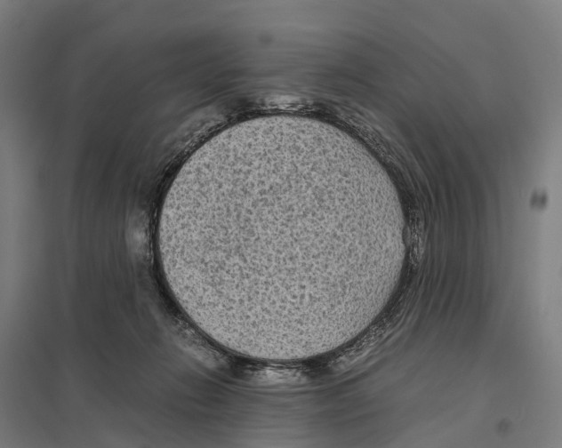 X0000097620270200803281043