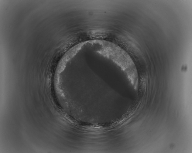 X0000097620271200803281043