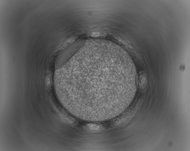 X0000097620272200803281043