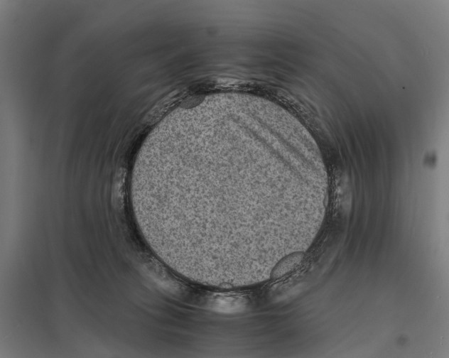 X0000097620275200803281043