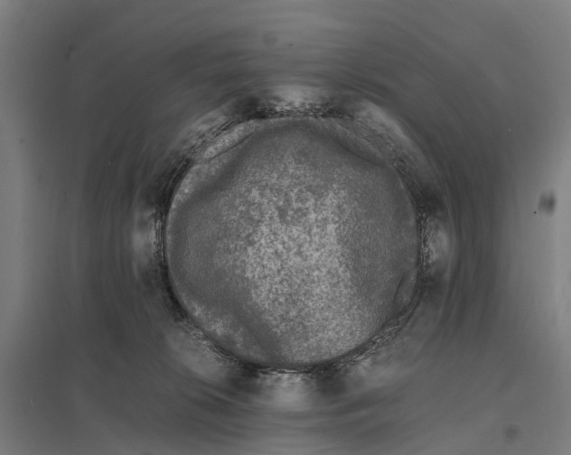 X0000097620276200803281043