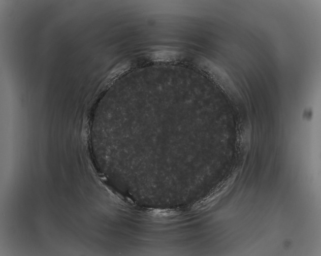 X0000097620277200803281043