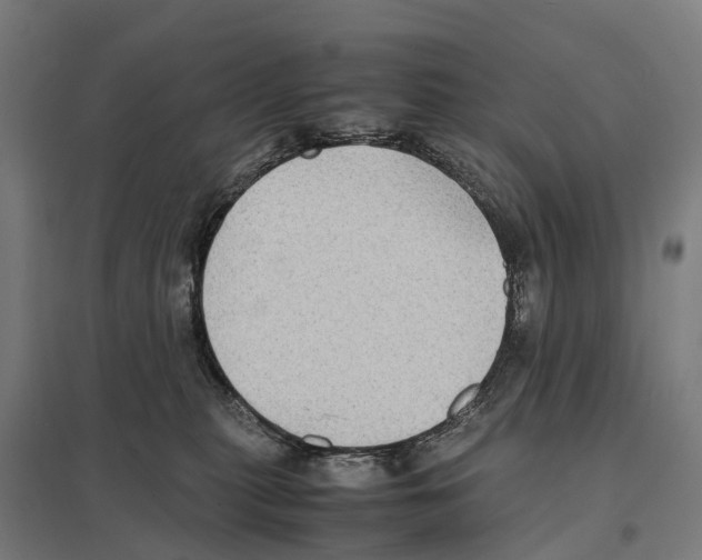 X0000097620279200803281043