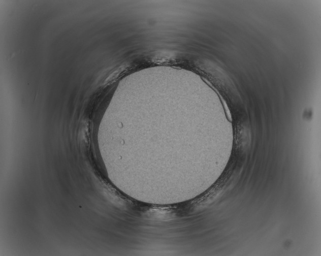 X0000097620280200803281043