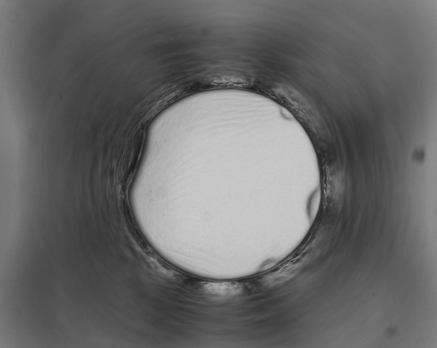 X0000097620281200803281043
