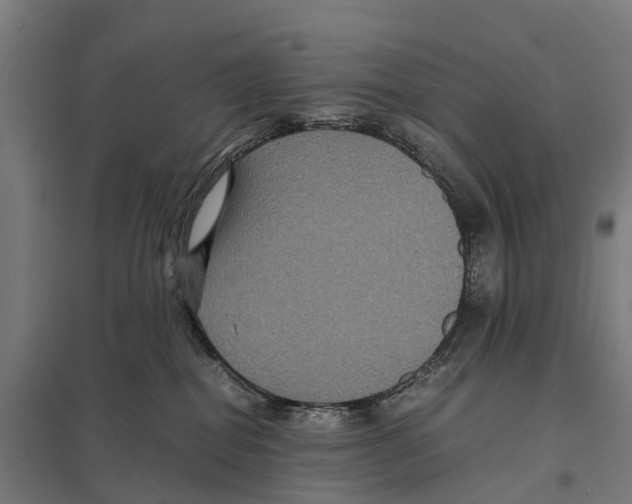 X0000097620282200803281043