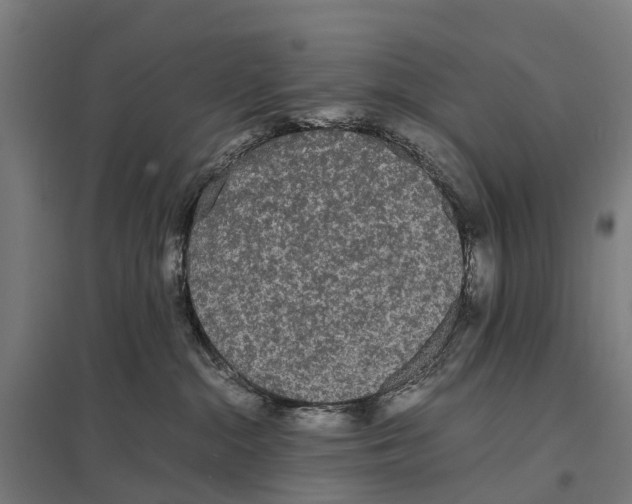 X0000097620284200803281043
