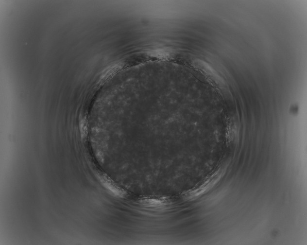 X0000097620285200803281043