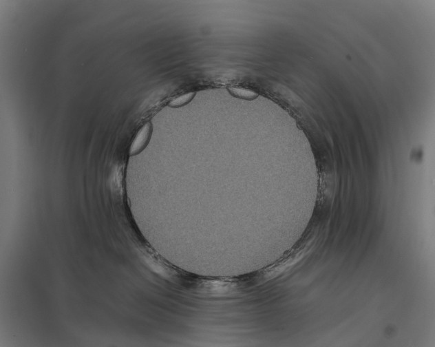 X0000097620286200803281043