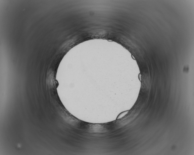 X0000097620287200803281043