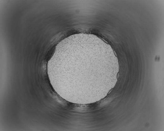 X0000097620288200803281043