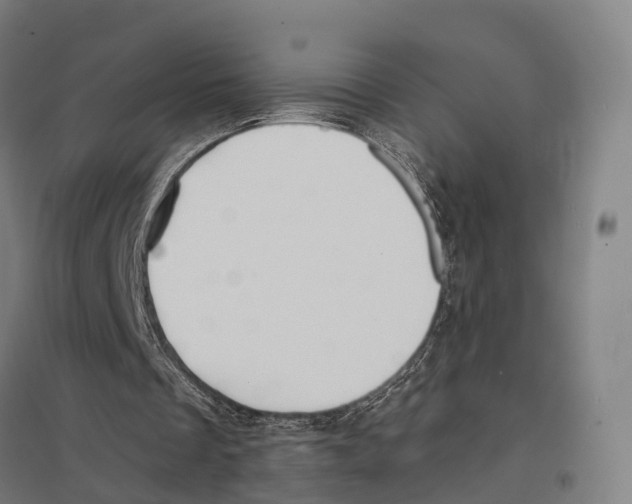 X0000097620289200803281042