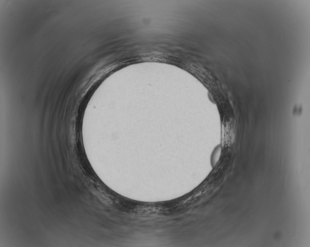 X0000097620291200803281042