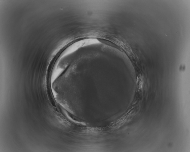 X0000097620292200803281042