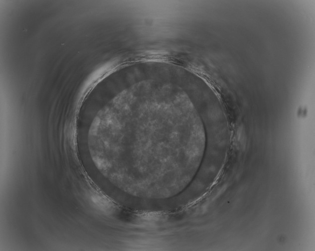 X0000097620293200803281042
