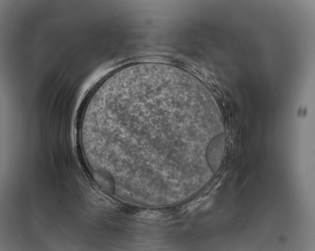 X0000097620294200803281042
