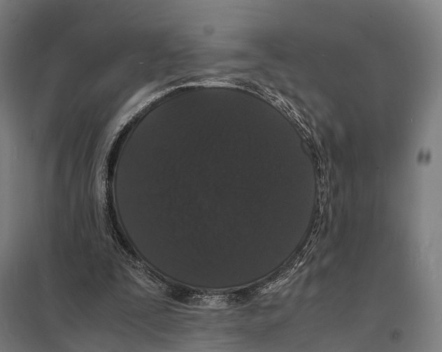 X0000097620295200803281042