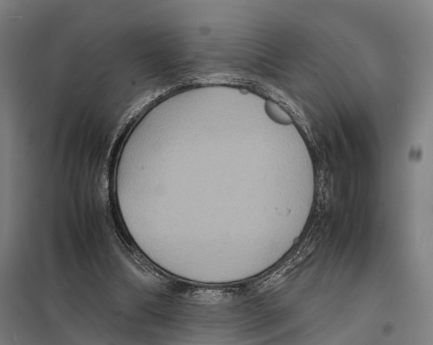 X0000097620298200803281042