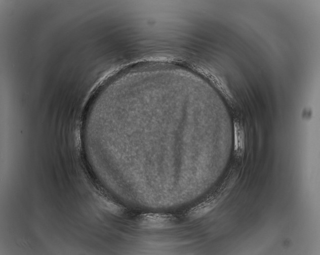X0000097620300200803281042