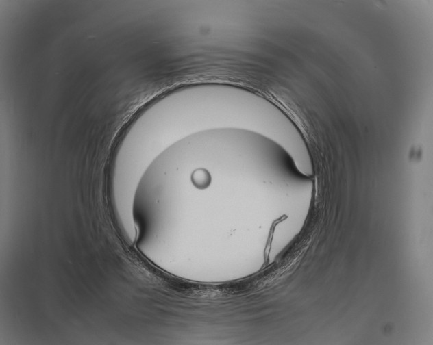 X0000097620301200803281042