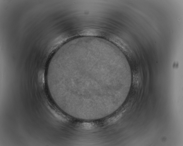 X0000097620302200803281042