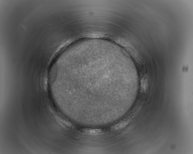 X0000097620304200803281042