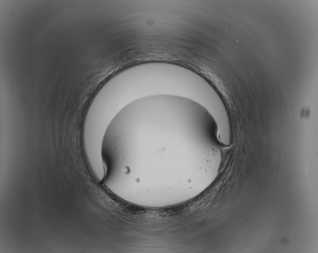 X0000097620305200803281042