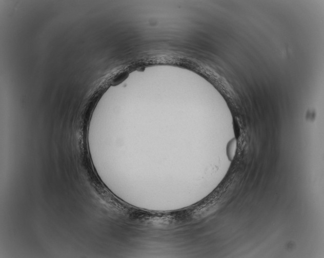 X0000097620306200803281042