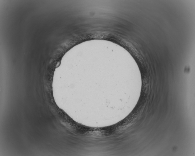 X0000097620307200803281042