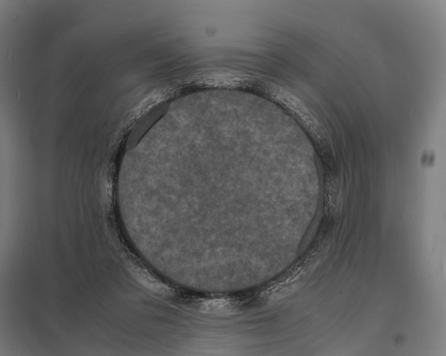X0000097620309200803281042