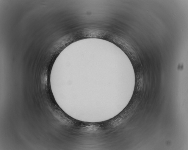 X0000097620310200803281042