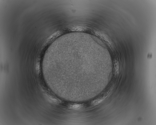 X0000097620312200803281042