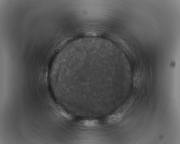 X0000097620314200803281042