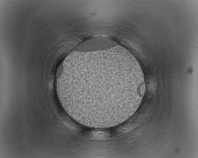 X0000097620315200803281042