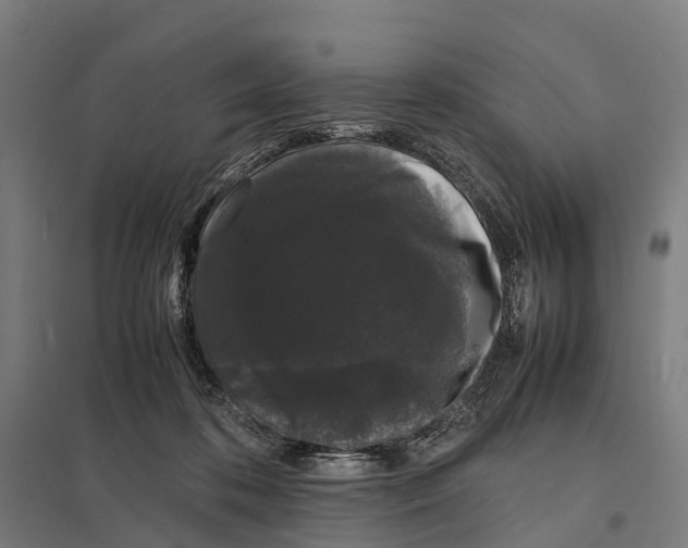 X0000097620316200803281042