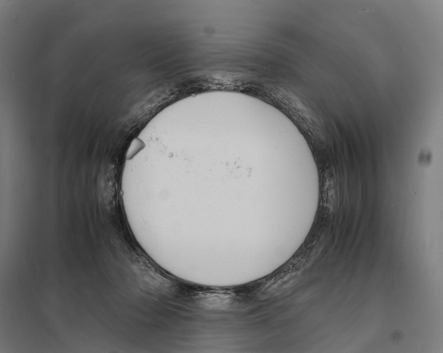 X0000097620318200803281042