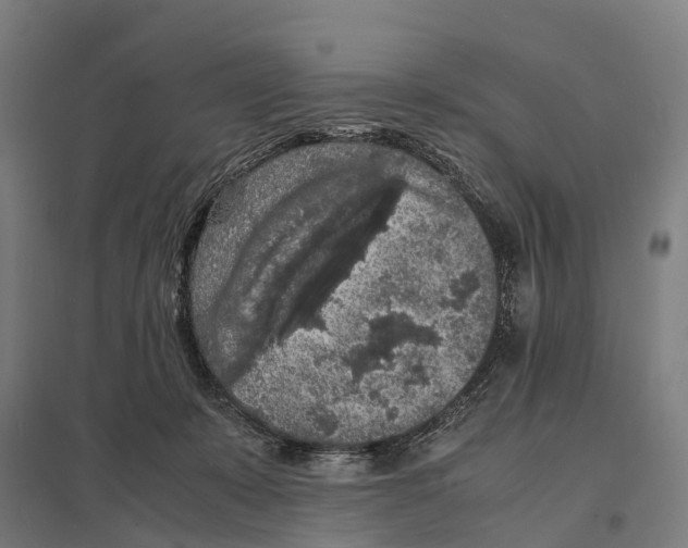 X0000097620319200803281042