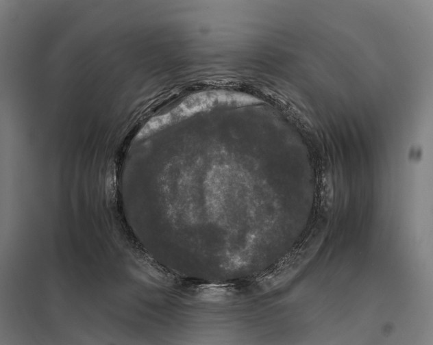 X0000097620320200803281042