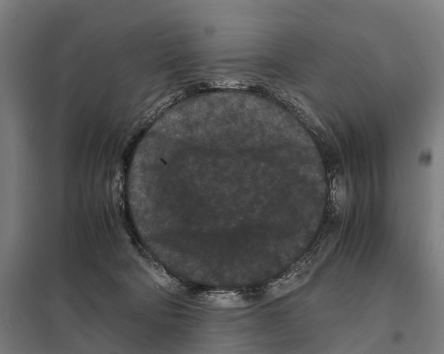 X0000097620322200803281042