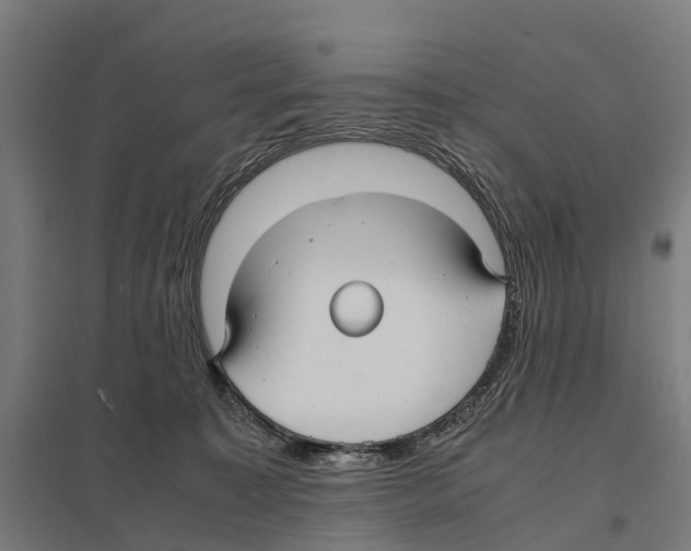 X0000097620323200803281042