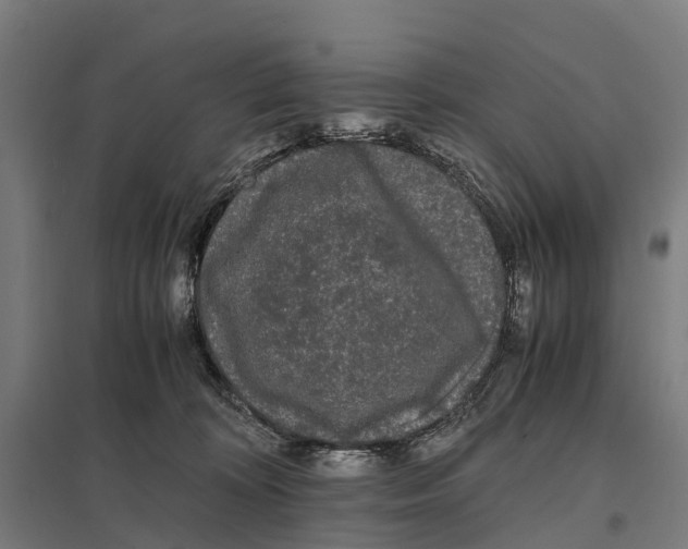 X0000097620324200803281042