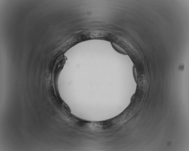 X0000097620327200803281042