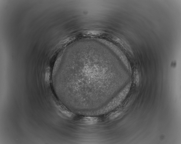 X0000097620328200803281042