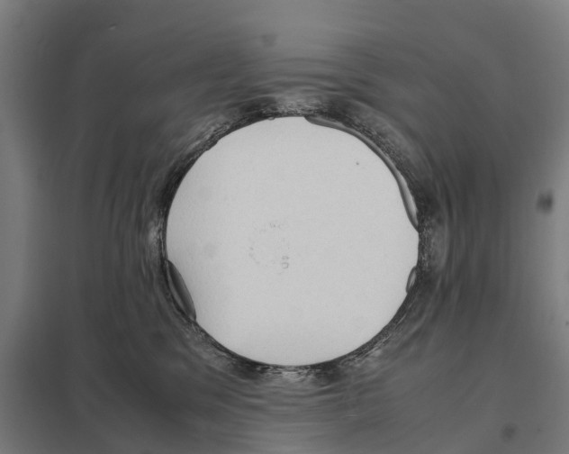 X0000097620329200803281042